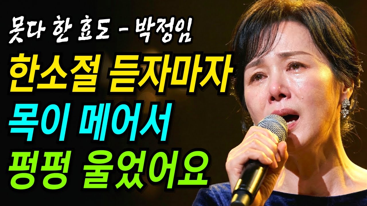 못다 한 효도 | 불러봐도 대답 없는 어머니에게 | 감성트로트