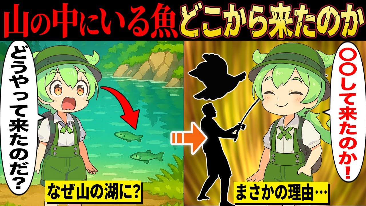 なんでここにいるの！？山の中に湖に魚が生息している理由とは？【ずんだもん＆ゆっくり解説】