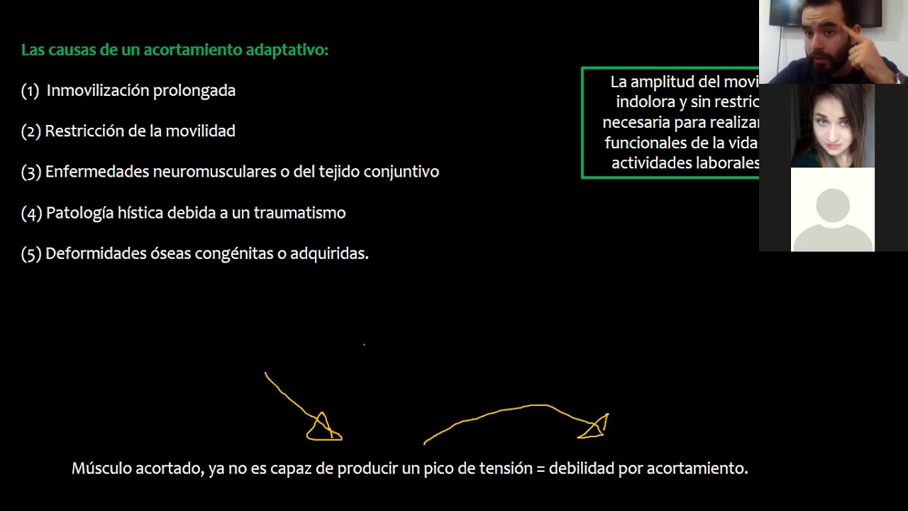 Fisiología del Estiramiento