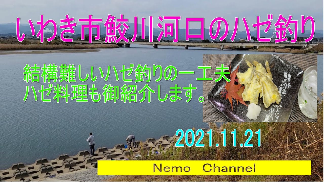 鮫川河口のハゼ釣り