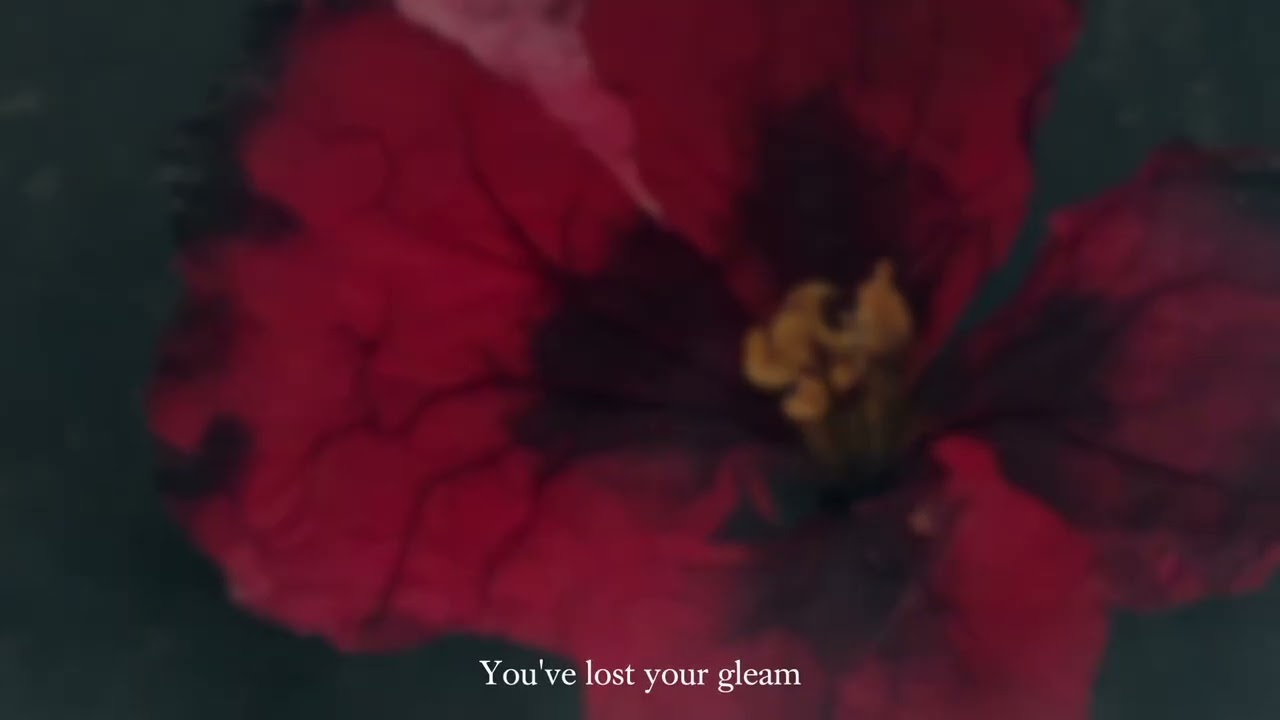 Siren Lake - Neverglow (LYRIC VIDEO)