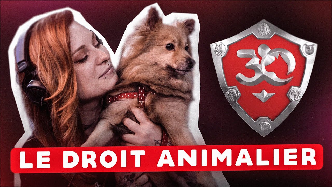 Deviens un PRO du DROIT ANIMALIER