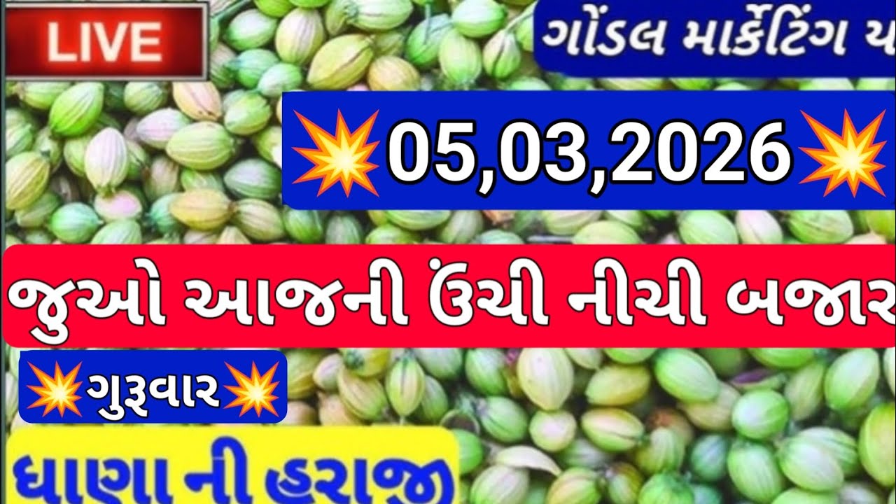 ગોંડલ નવા ધાણા ના બજાર ભાવ / નવા ધાણા ની બજાર ભાવ / ધાણા ના બજાર ભાવ / 05,03,2026