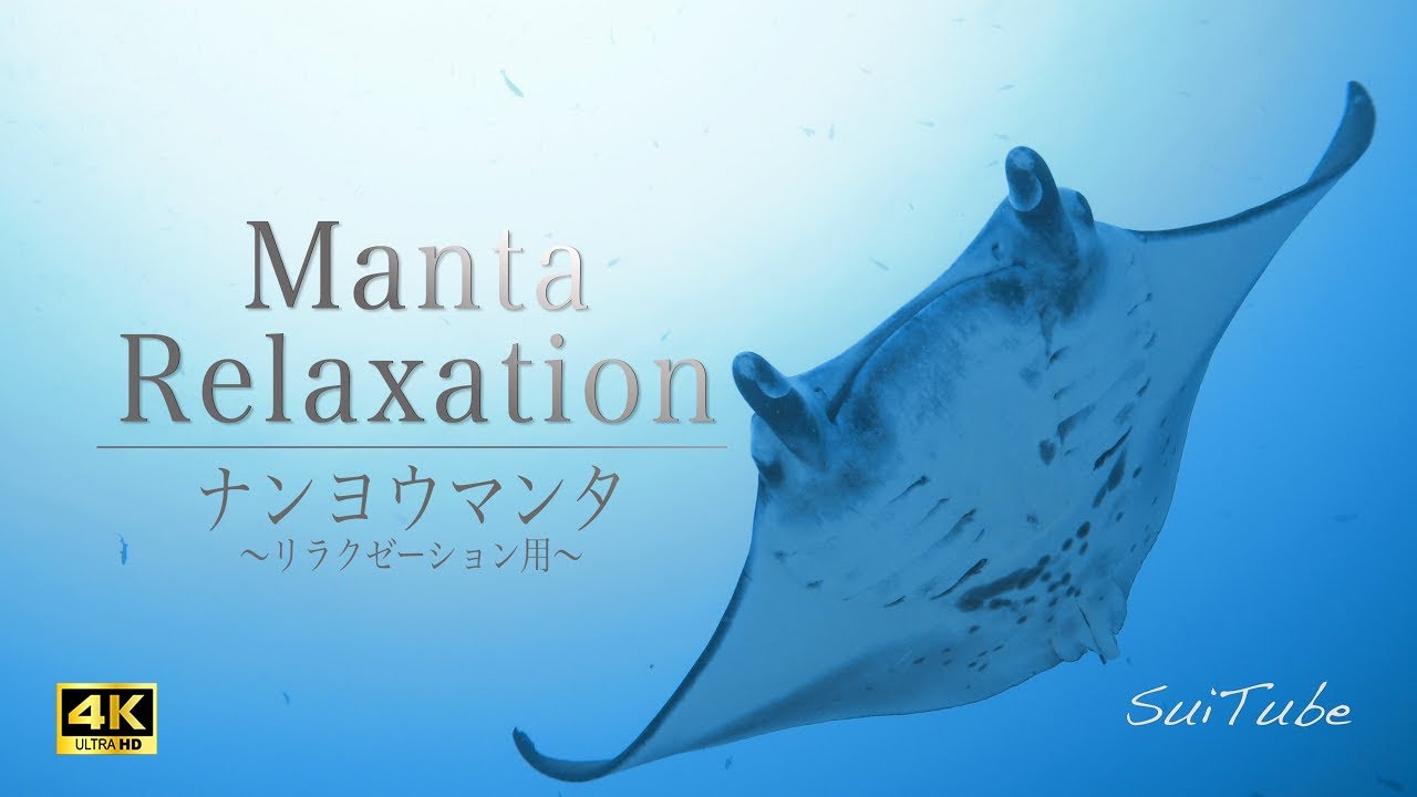 ナンヨウマンタの遊泳 海の絶景【4K映像とヒーリングミュージック】 リラクゼーション用~Manta Relaxation~