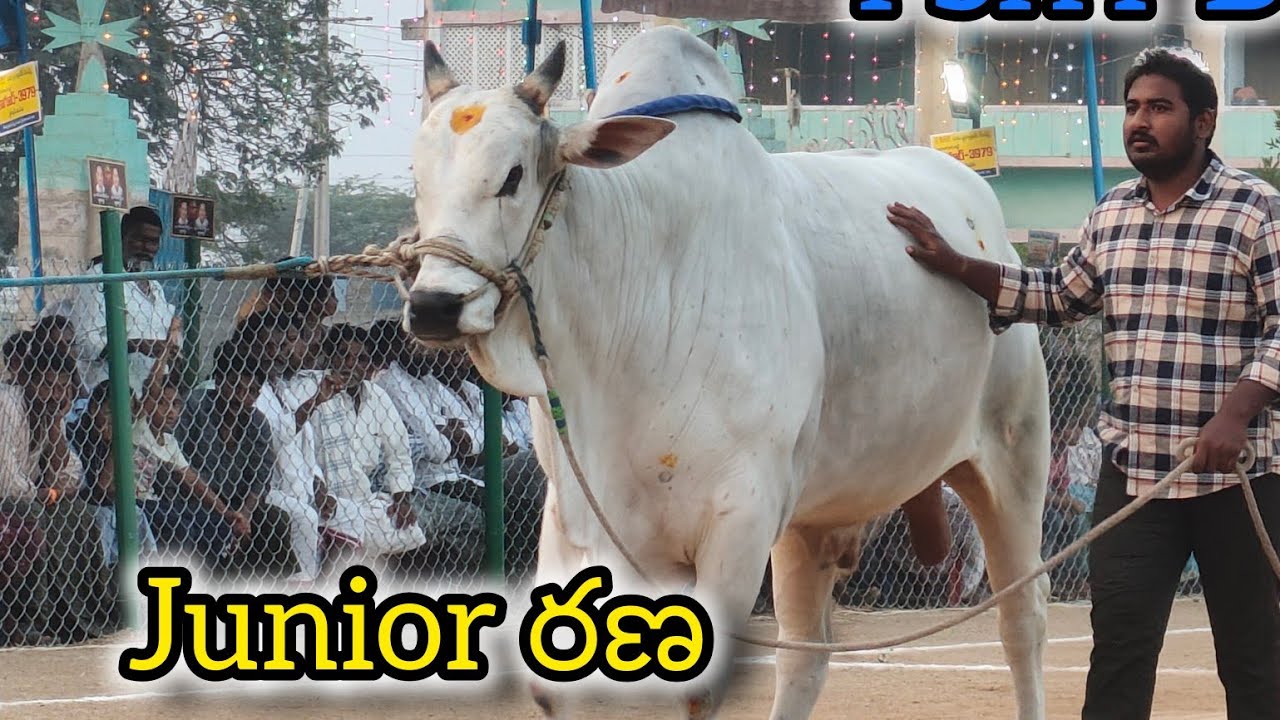 మాచవరం గ్రామానికి సబ్ జూనియర్స్ విభాగానికి 6వ జత యామిని మోహన్ శ్రీ కొత్తపాలెం రామారావు గారు