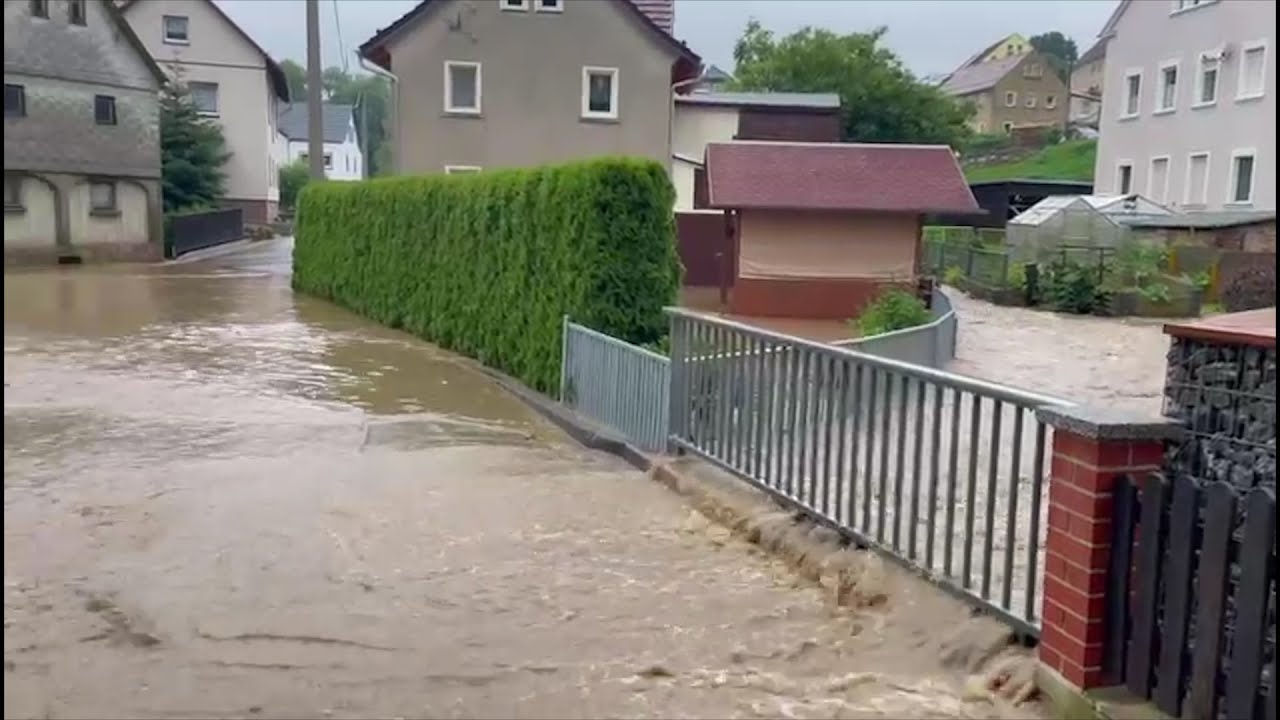 Wilthener Video News August 2021