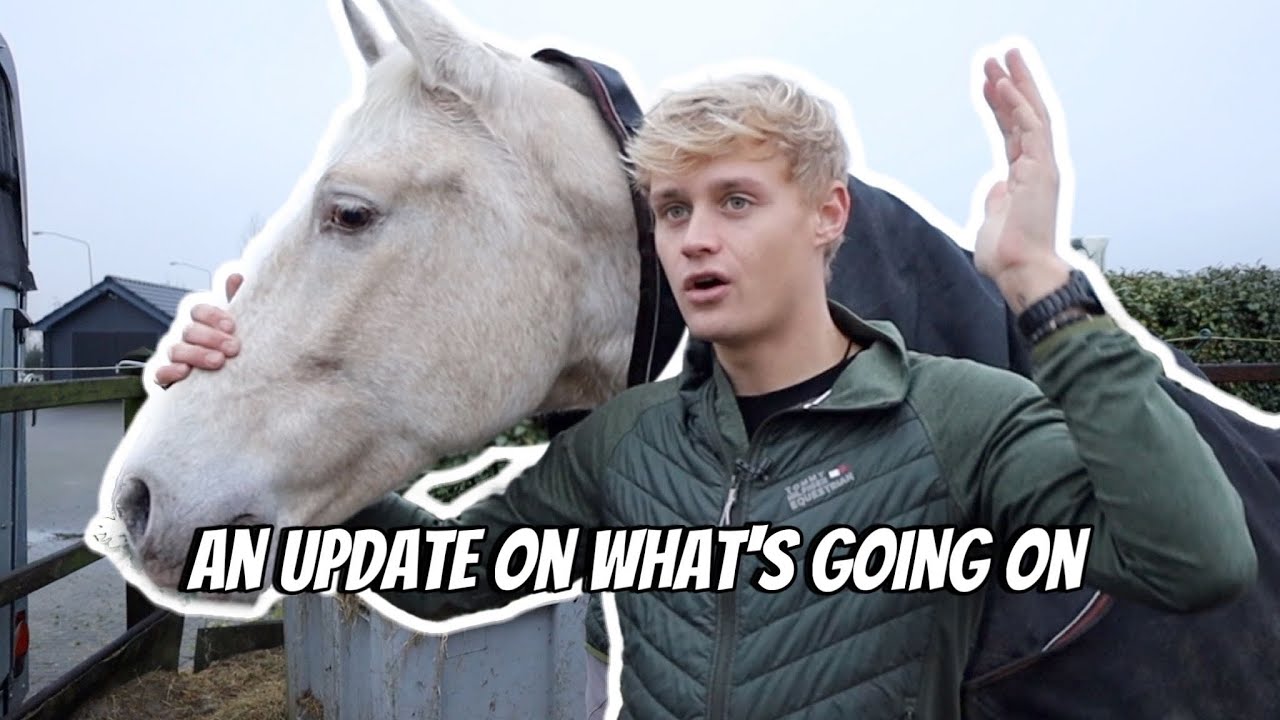 How my horses are doing after the move + Gaio update