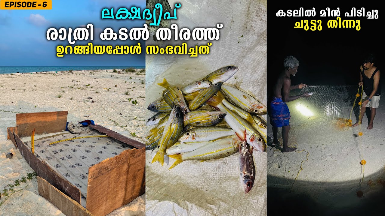 EP #6 - ജനവാസം ഇല്ലാത്ത ദീപിൽ ഒരു രാത്രി | Night Fishing in Lakshadweep | Thinnakara Island