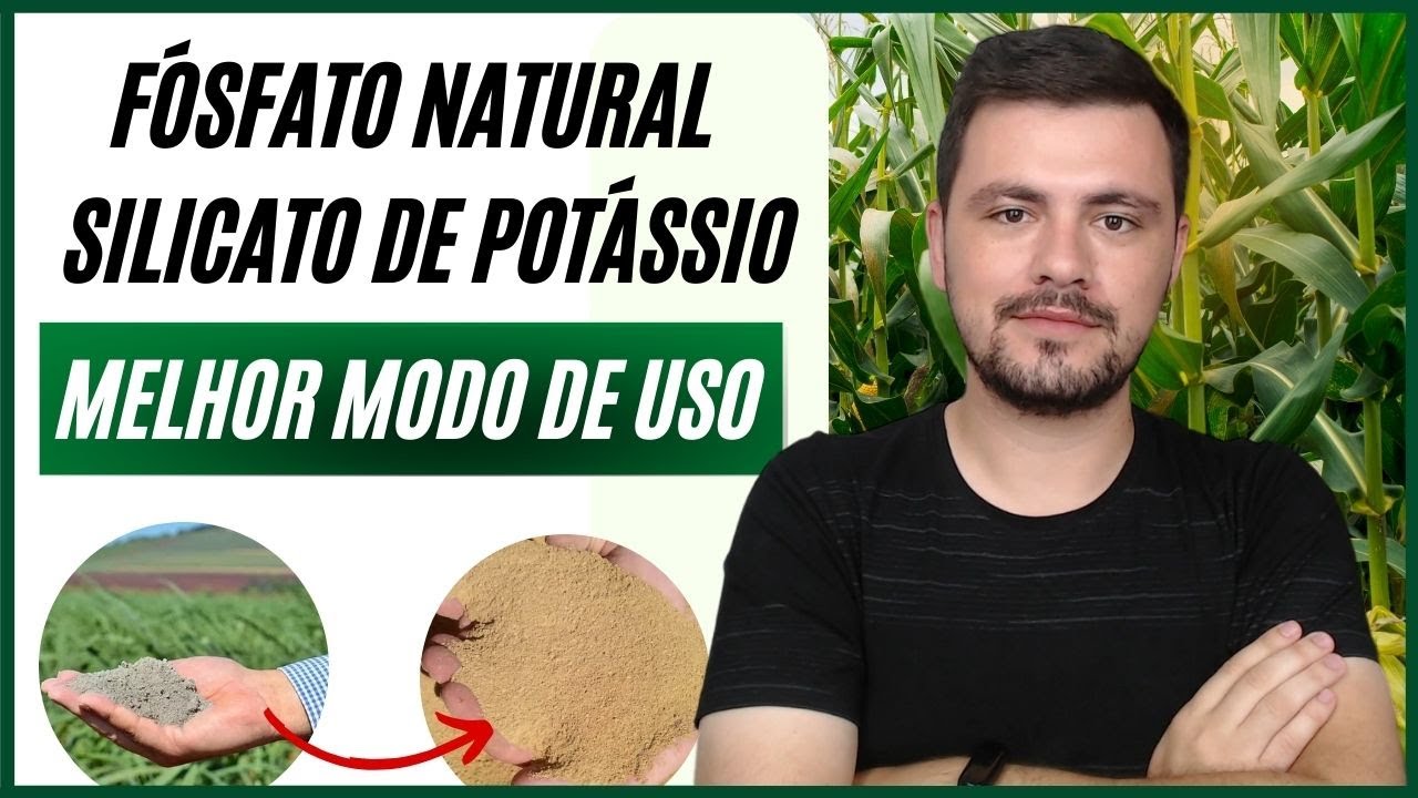 Fosfato Natural e Silicato de Potássio como fertilizantes alternativos