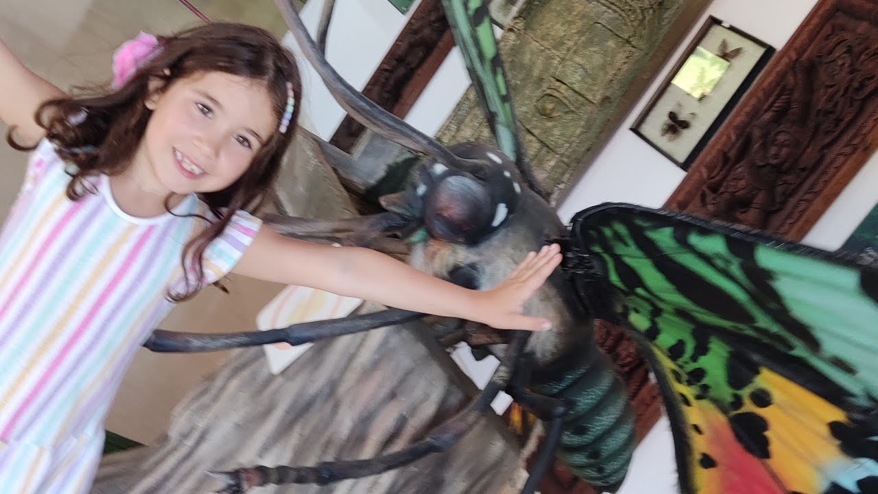 Visitamos el Mariposario de Benalmádena 🦋