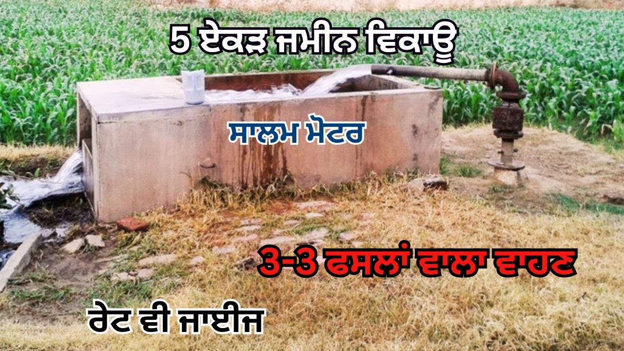 5 ਏਕੜ ਜਮੀਨ ਵਿਕਾਊ ਸਾਲਮ ਮੋਟਰ 3 3 ਫਸਲਾਂ ਵਾਲਾ ਵਾਹਣ ਰੇਟ ਵੀ ਜਾਈਜ