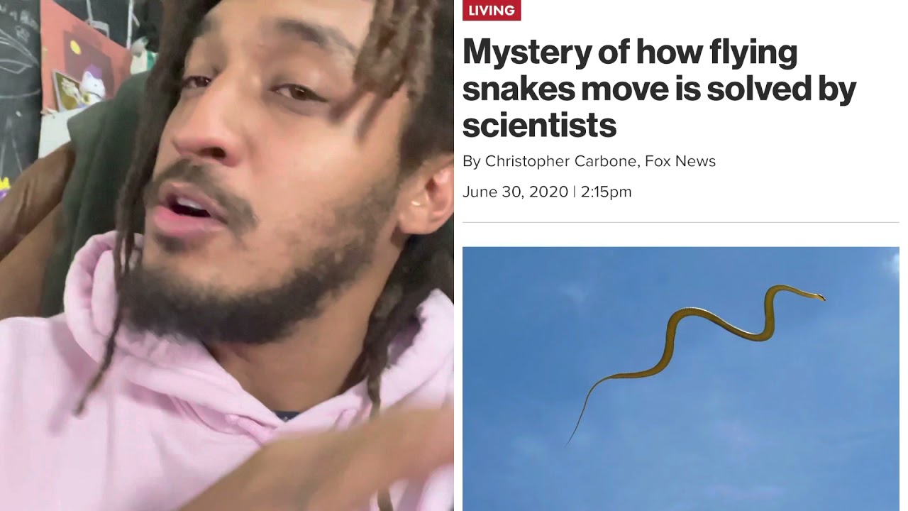 Wait...There Are FLYING SNAKES?!🤔🐍 #PatGeo