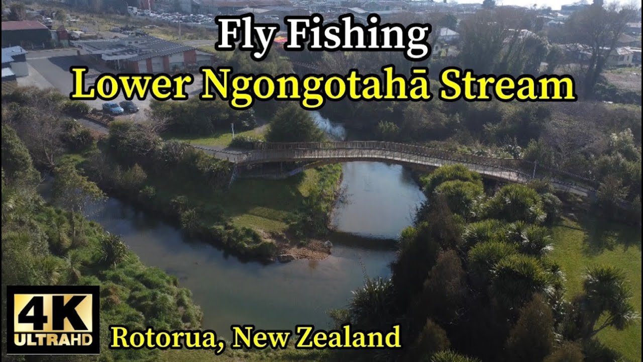 Fly Fishing the Lower Ngongotahā Stream in 4K