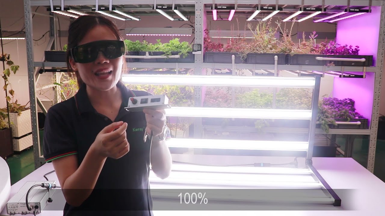 KORAY G120 630W Economical LED grow light with UVA 400nm and Far red 730nm