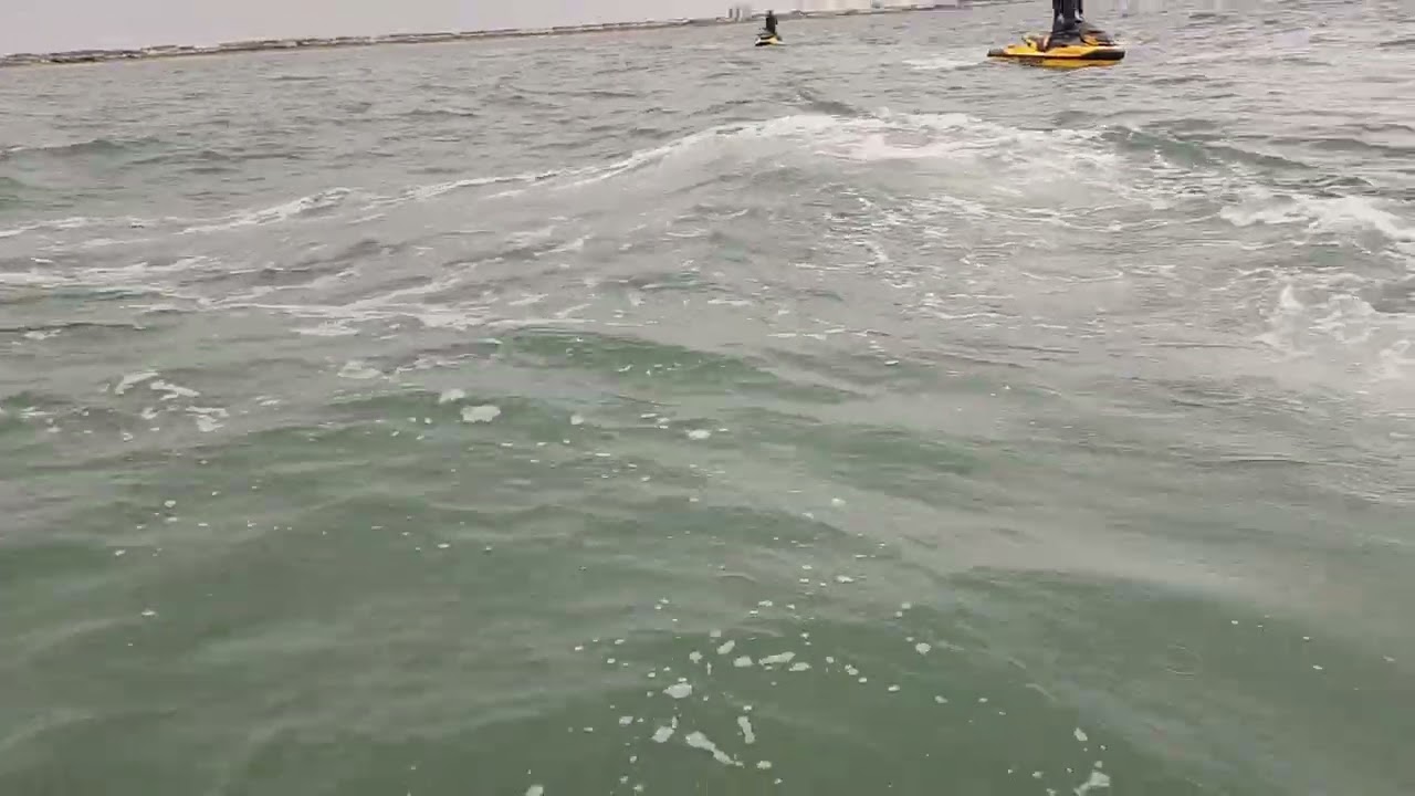 atlantic ocean looking for dolphins