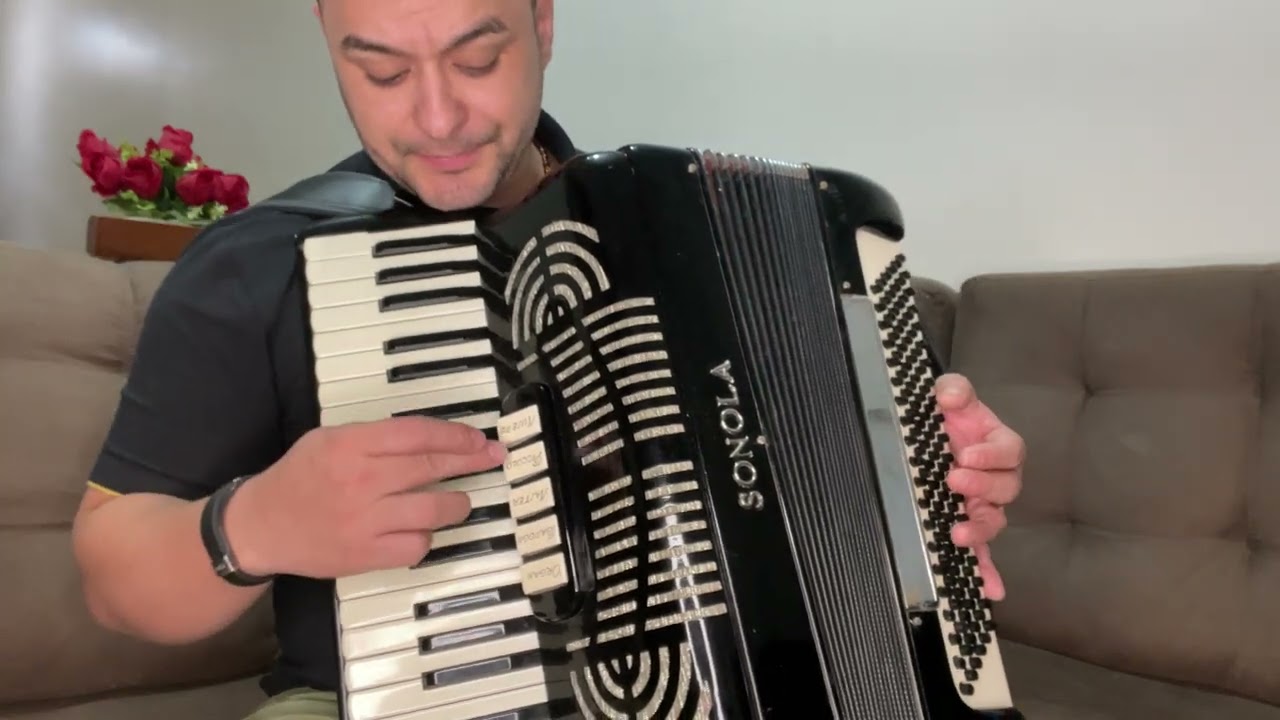 (Vendido) Acordeon Sonola 120 baixos