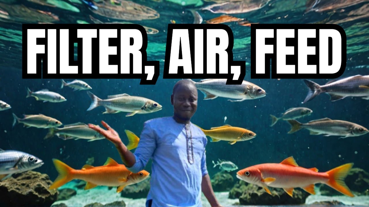 Wild Fish vs Farmed Fish: Why Filtration, Aeration, and Feeding Differ