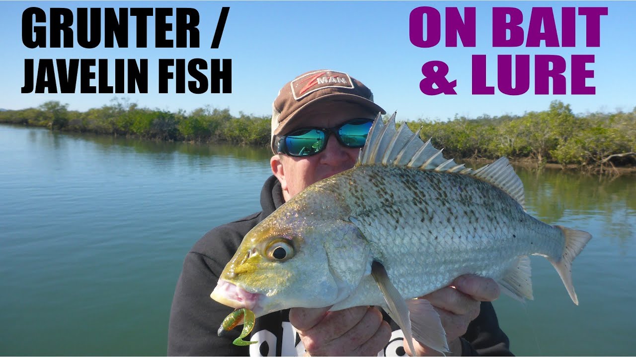 Grunter / Javelin Fish Bait and Lure Tips with Paul Chew