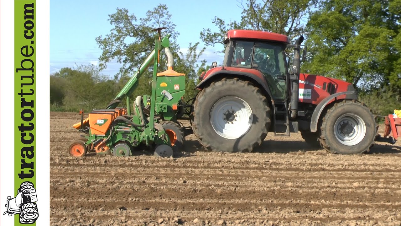 Case IH CVX 195 und Amazone ED 602 K legen Mais - Agrarservice Terhuf