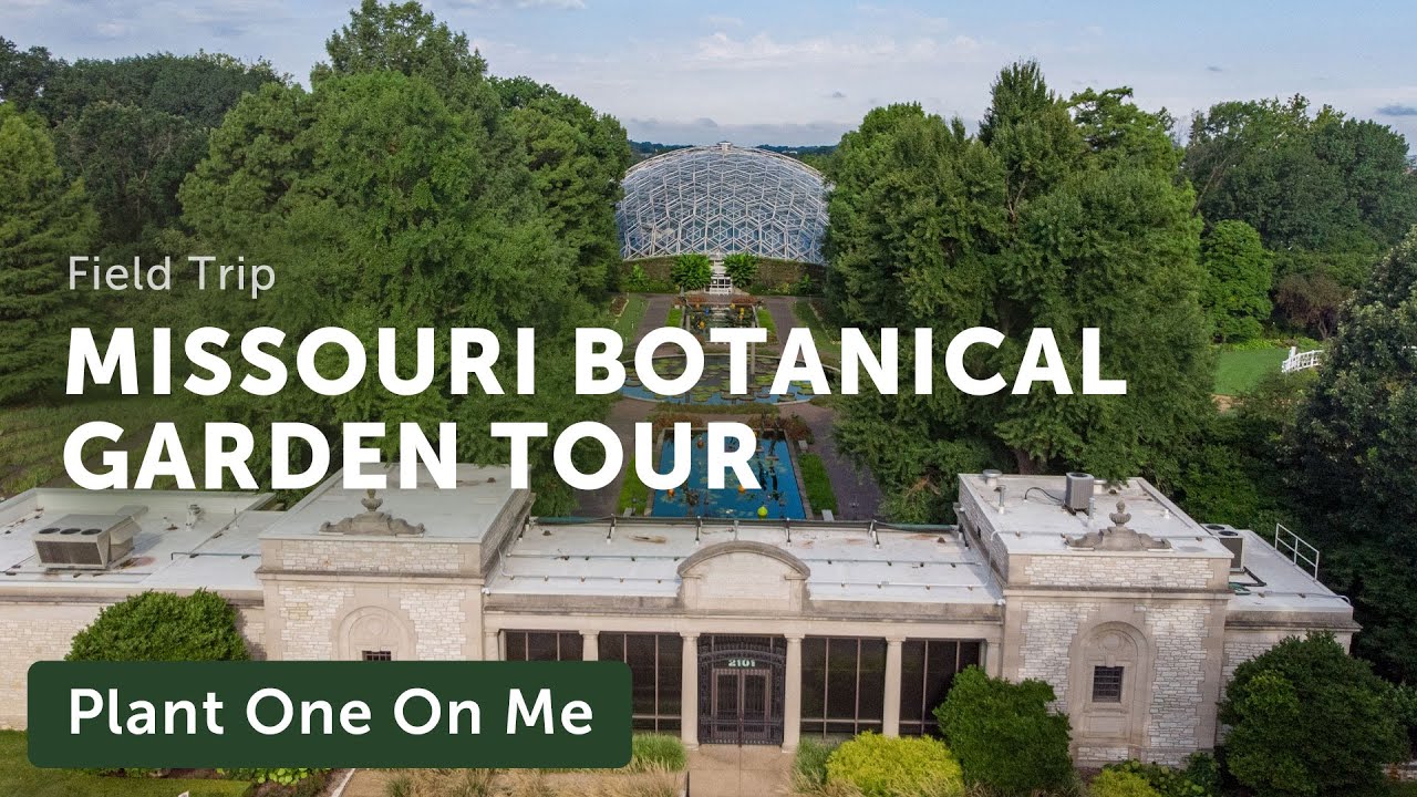 MISSOURI BOTANICAL GARDEN Tour — Ep. 254