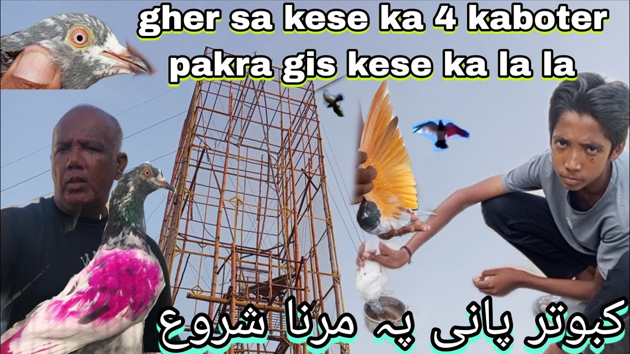 Ag gher sa kese k 4 kaboter pakra gis kese ka la la 
