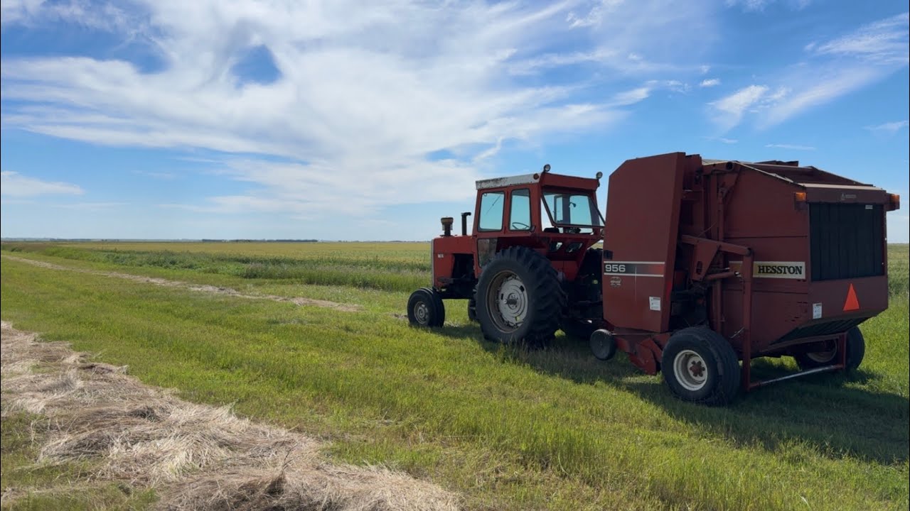 From the archives, a boring hay video.