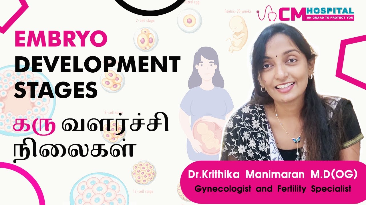 Embryo Development Stages | கரு வளர்ச்சி நிலைகள் | CM Hospitals | Nanganallur | Tamil #embryogrowth