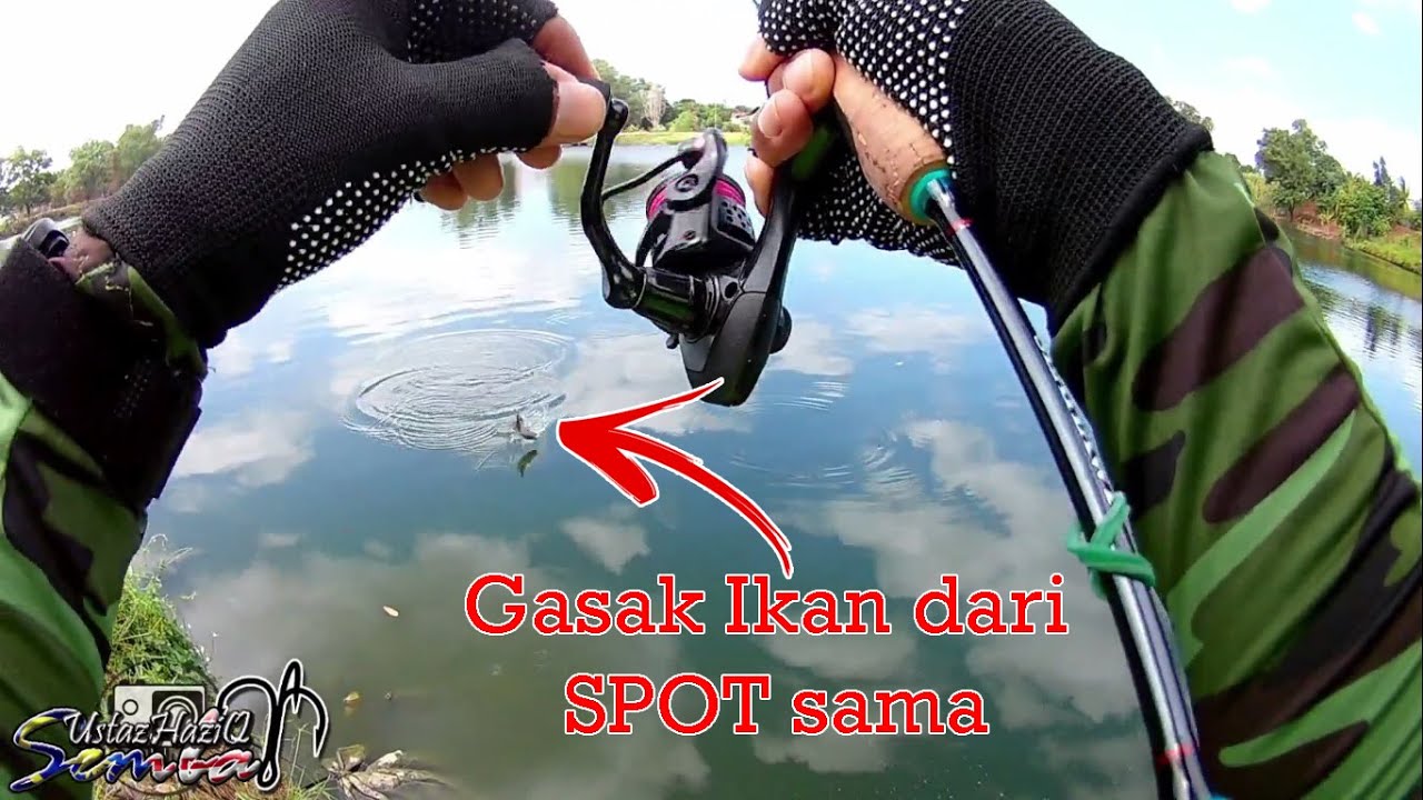 TIPS DAN TEKNIK MENYEMBAT (SEMBAT) IKAN TALAPIA HASIL PADU !! | UltraLight Fishing Malaysia | Ep5