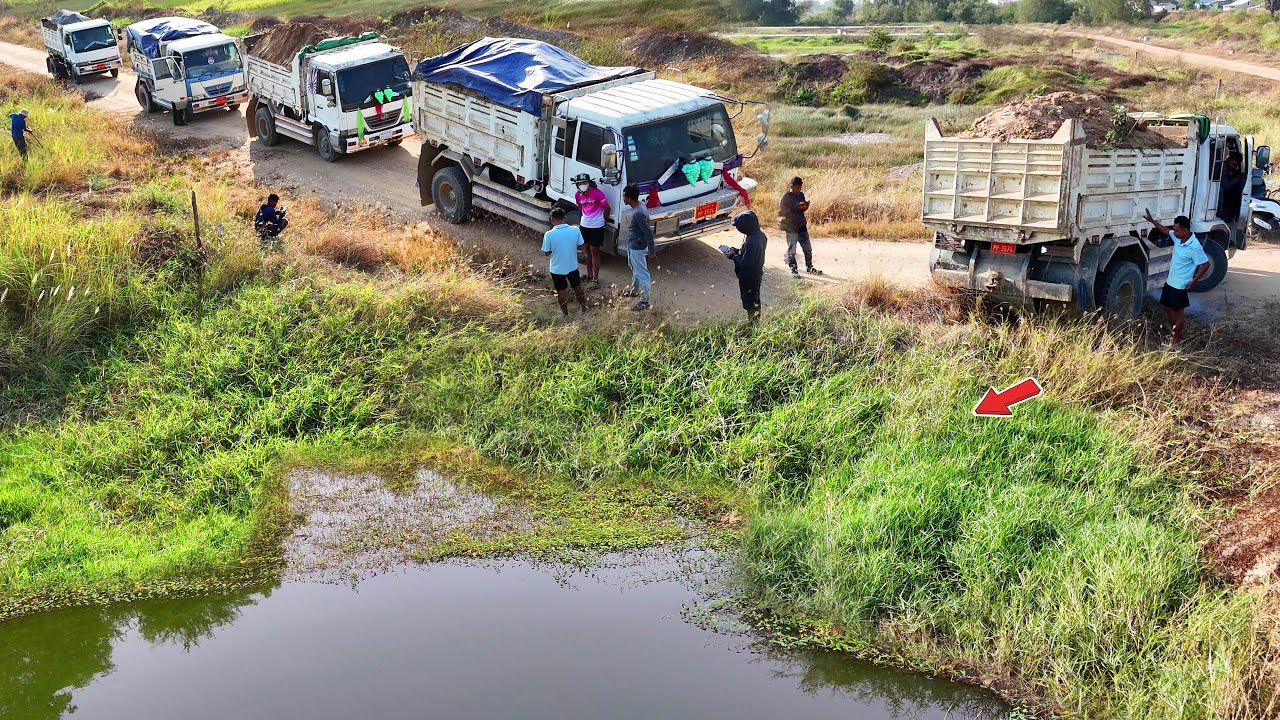 Perfectly Start Landfill Task using Dump Truck 5Ton & Dozer Pushing Soil Clear Flooded Area! Mix VDO