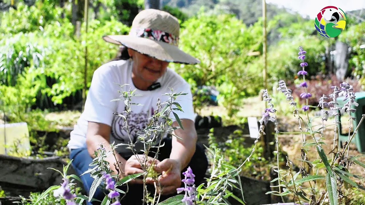 Fábrica de cosméticos naturais da associação de mulheres 