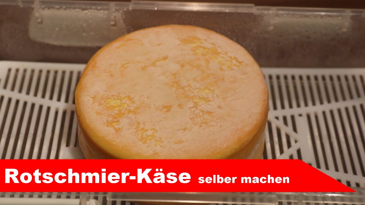 🧀 Rotschmier-Käse 🧀 diesmal ohne Schimmel - Käse selber machen - Alles Käse