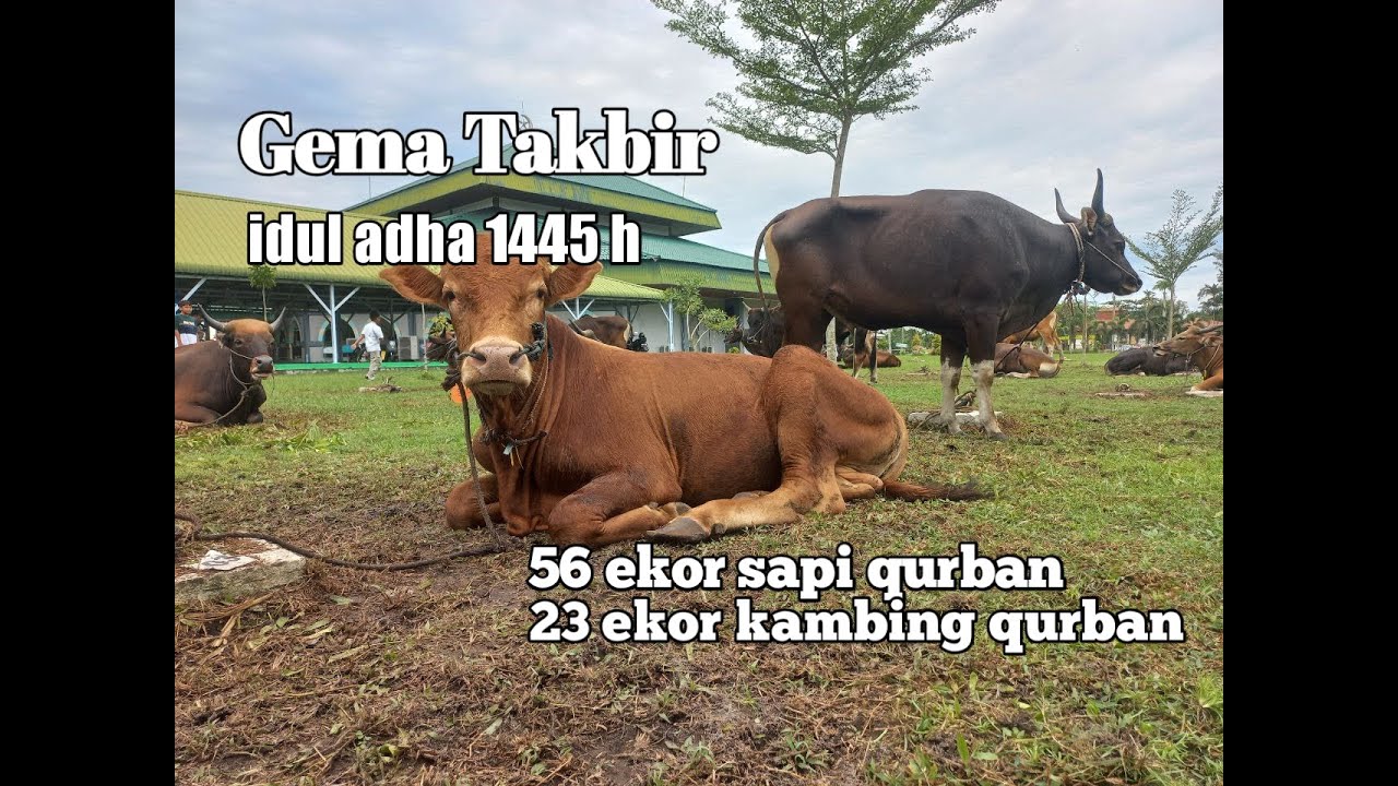 Gema Takbir Hari Raya idul adha 1445 H