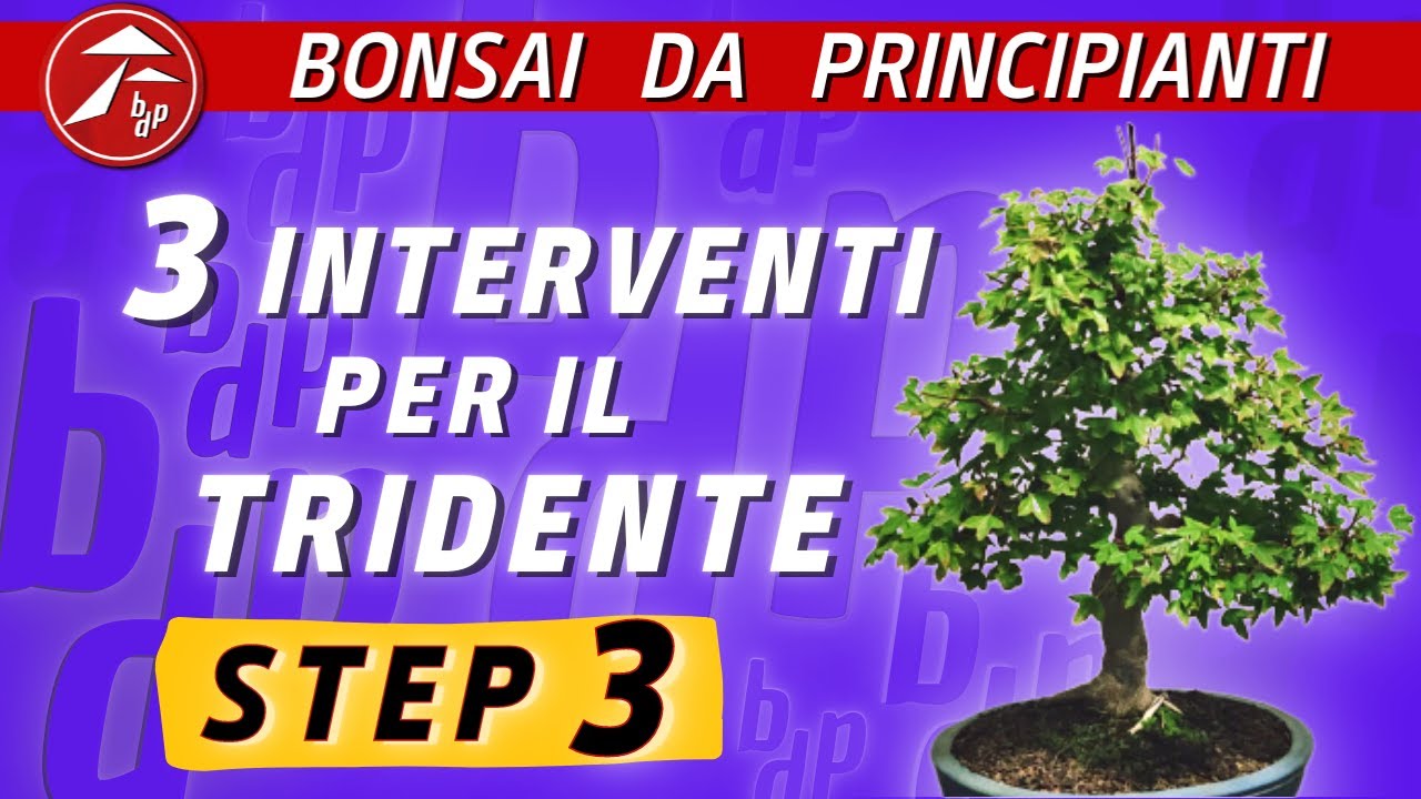 3 interventi per il tridente (Step 3)