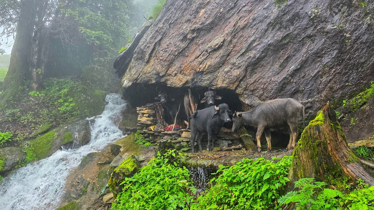 Real Himalayan Nepali Mountain Village Life During Heavy Rain | Rainy Season Documentary Video | 