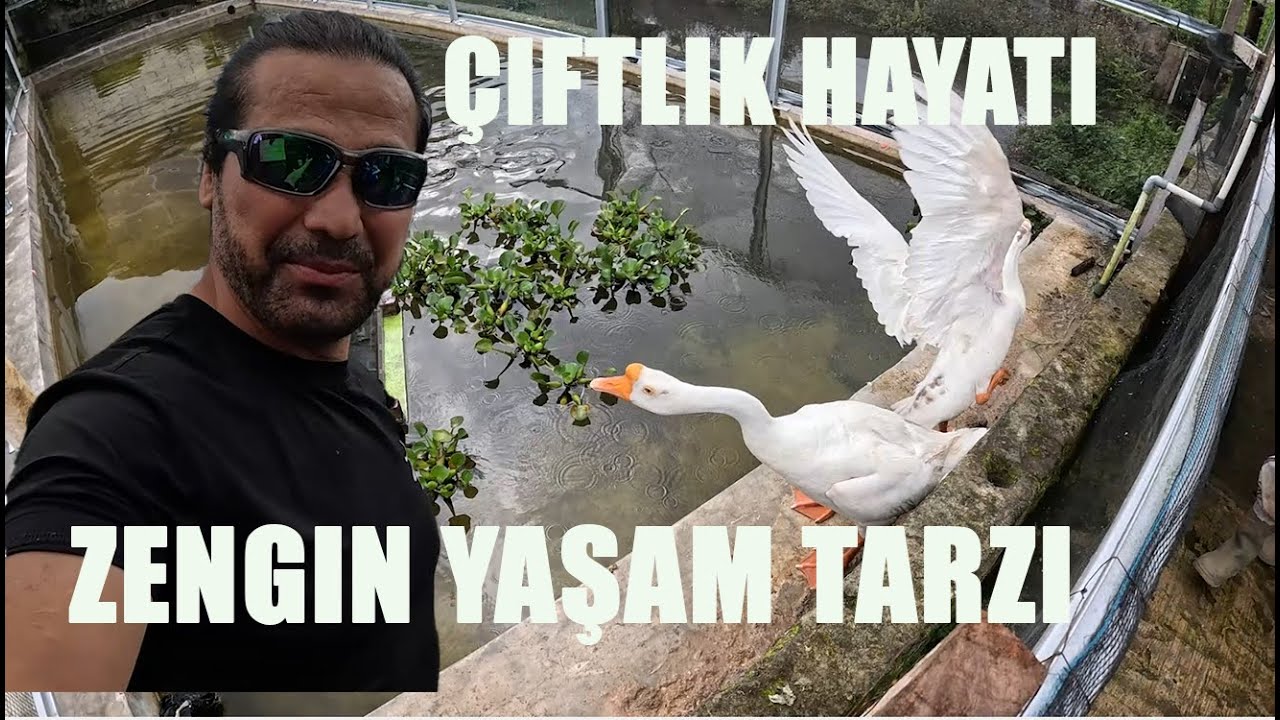 köy yerinde Çiftlik hayatı nasıl oluyor izle ve gör - 