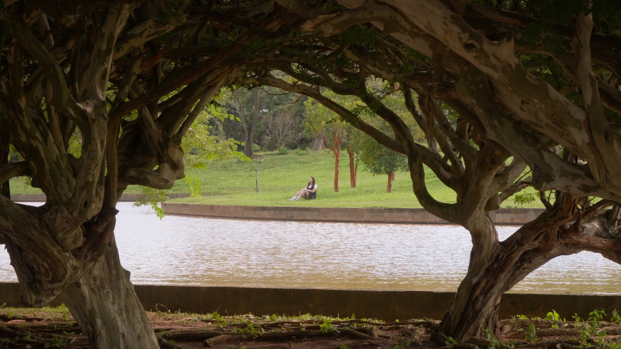 VIDEOPITCH ESCAC 2026 | Giovana Padovani Rosa