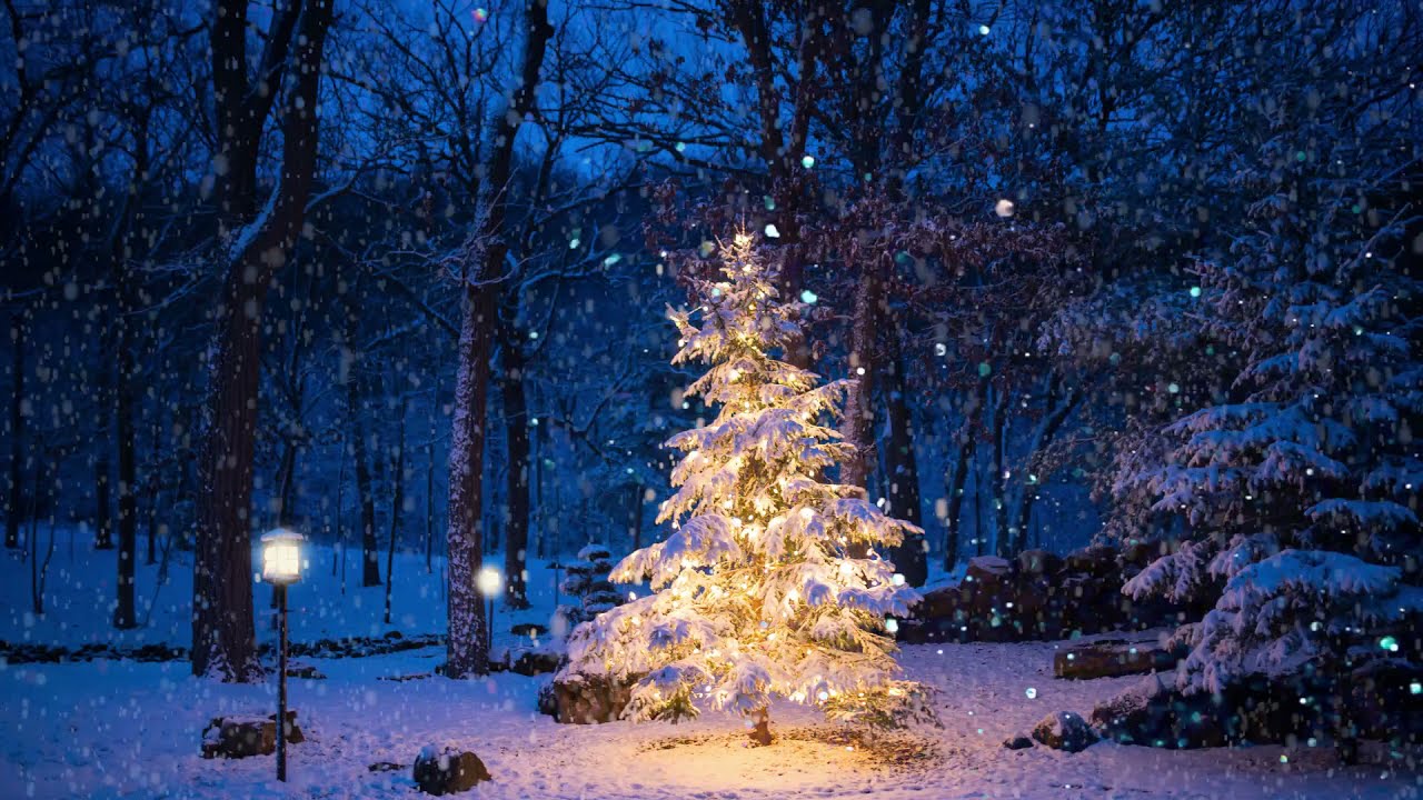 Winter Snow Storm Ambience with Storm & Sleigh Bell Sounds