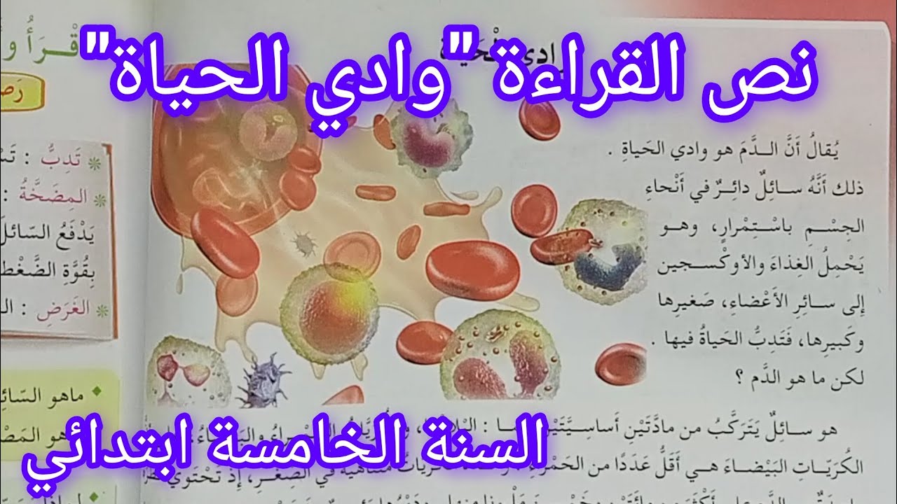 نص القراءة وادي الحياة صفحة 78 من كتاب اللغة العربية سنة خامسة ابتدائي 