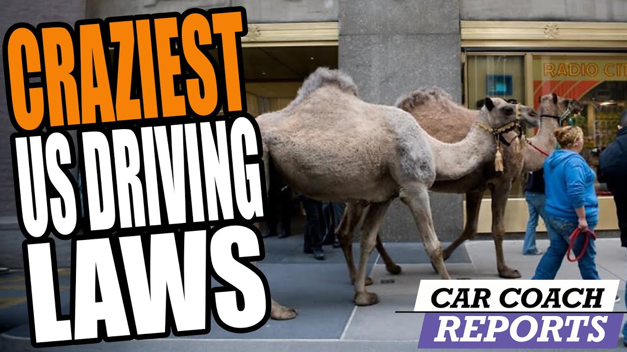 You Won't Believe These Bizarre USA Traffic Laws!