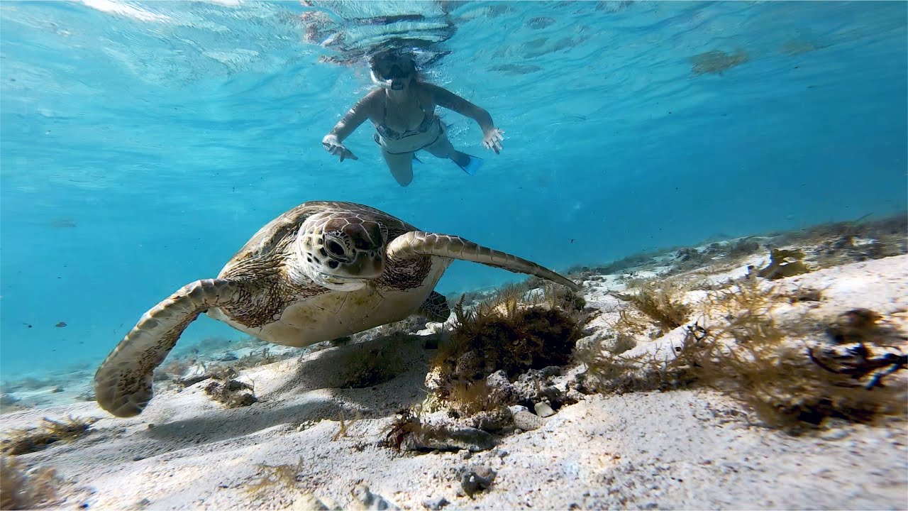 GoPro 7: Sailing Cruise - Caribbean | Rejs - Karaiby 2021