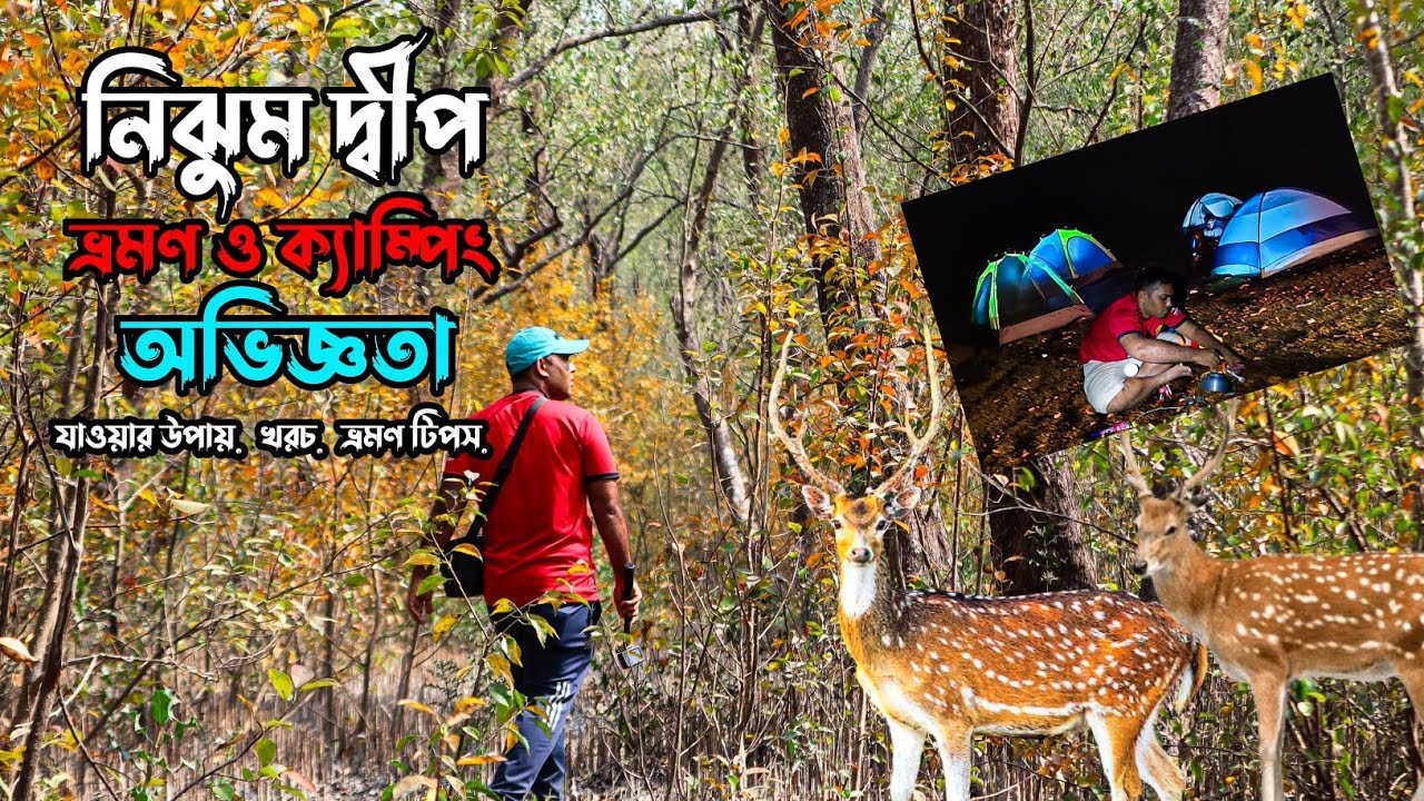 নিঝুম দ্বীপ ভ্রমণ ও ক্যাম্পিং অভিজ্ঞতা || নোয়াখালী || হাতিয়া || Nijhum Dwip || Noakhali