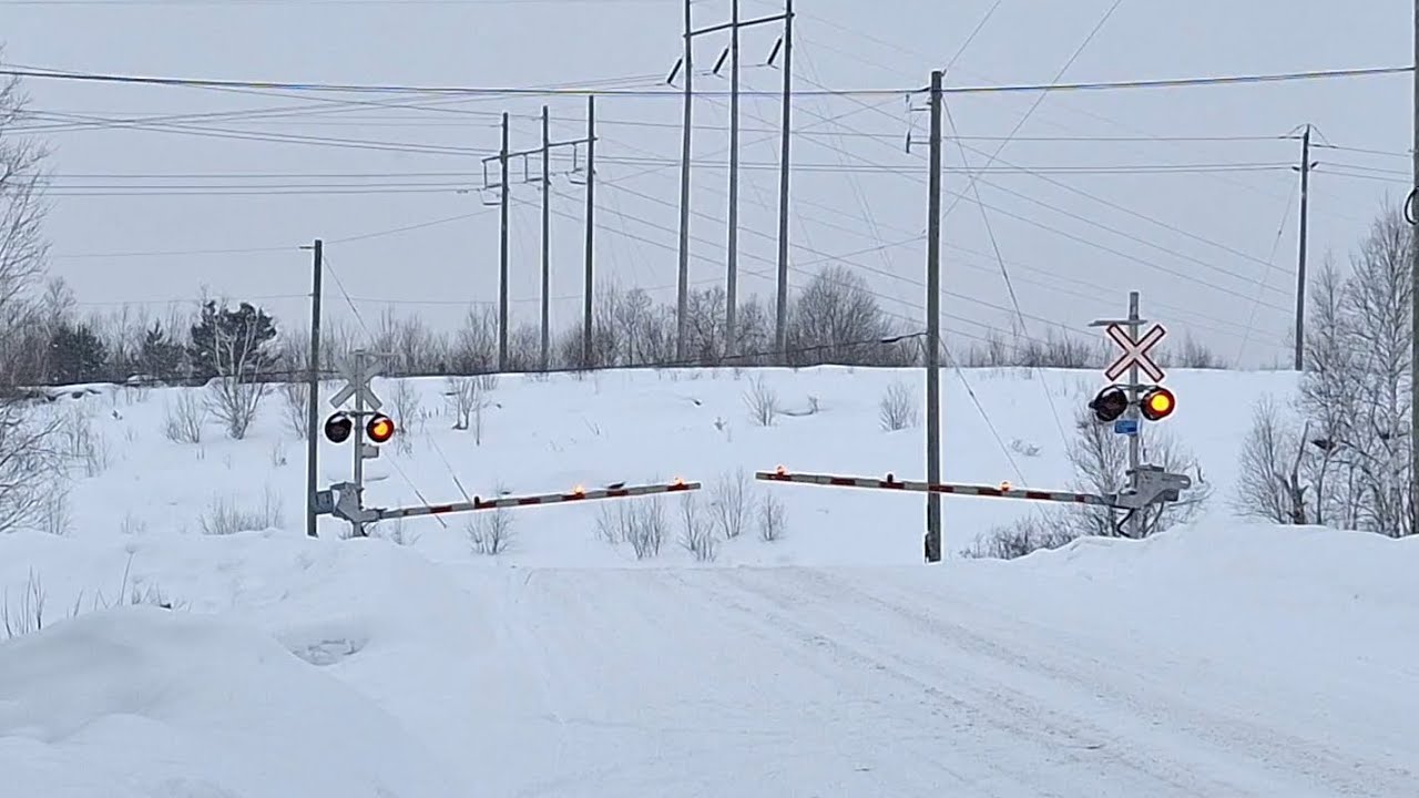 Are They Really THAT COMMON!? Three Awesome K5HLA Horns In 24 Hours!