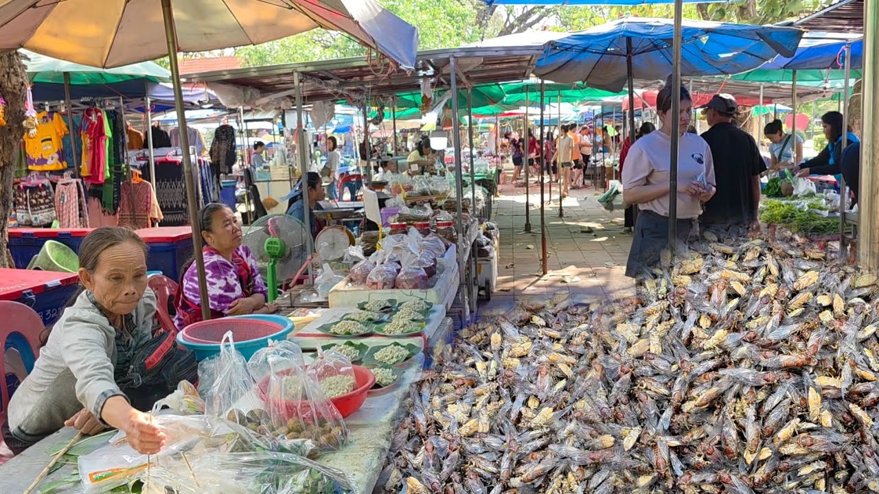 ฝนมาอึ่งเริ่มมี ตลาดลานดอกจาน อ.เขมราฐ จ.อุบลฯ#จั๊กจั่น #ไข่มดแดง #อาหารตามฤดูกาล 