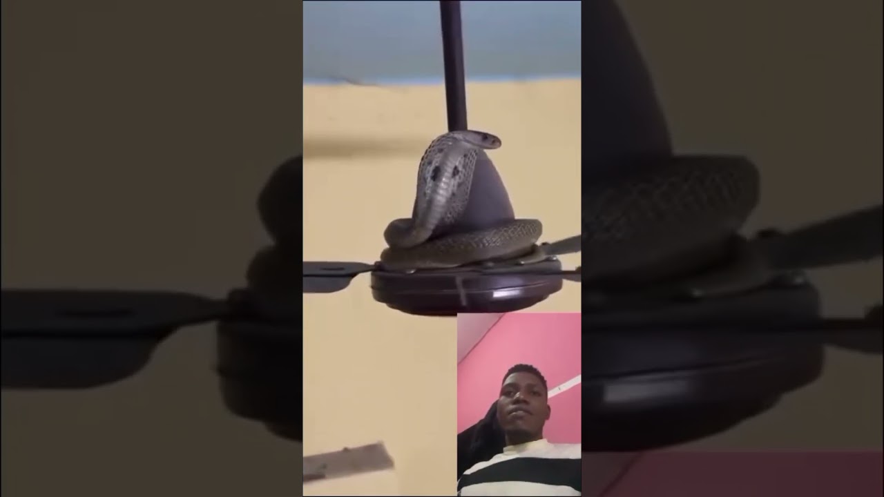 #makemefamous