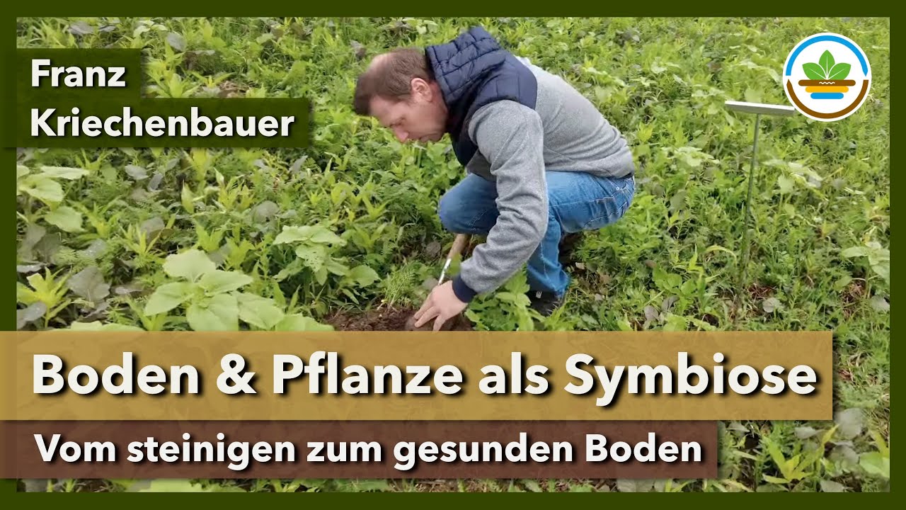 Vom steinigen zum gesunden Boden: Franz Kriechenbauer über Boden & Pflanze als Symbiose