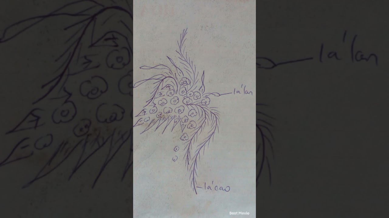 Vẽ mẫu cắm hoa nh&agrave; thờ 3