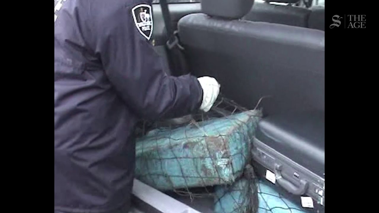 The early morning arrest