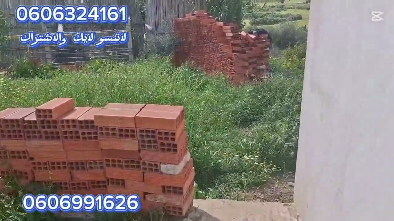 قطعة ارضيه ملكية 6000 متر مغروسة بالاشجار متنوعة واصلا الماء الضوء والطريق بين لخميس ولقصر الصغير.