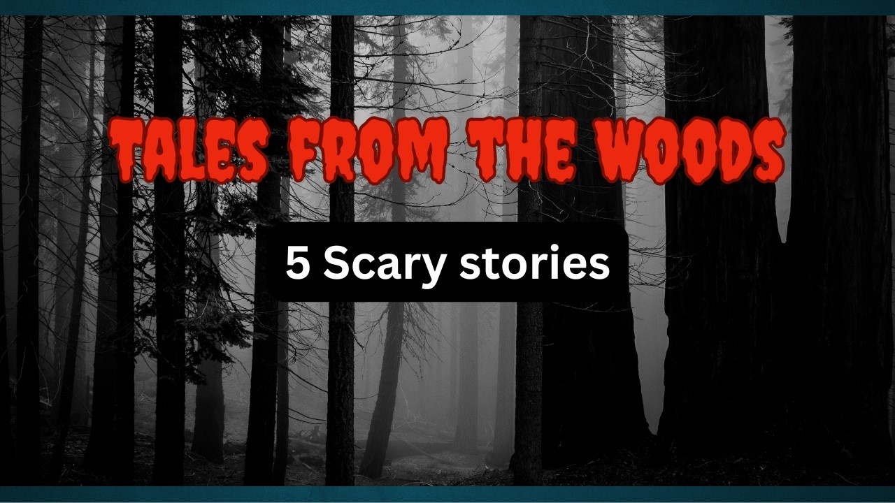 5 Tales from the Woods