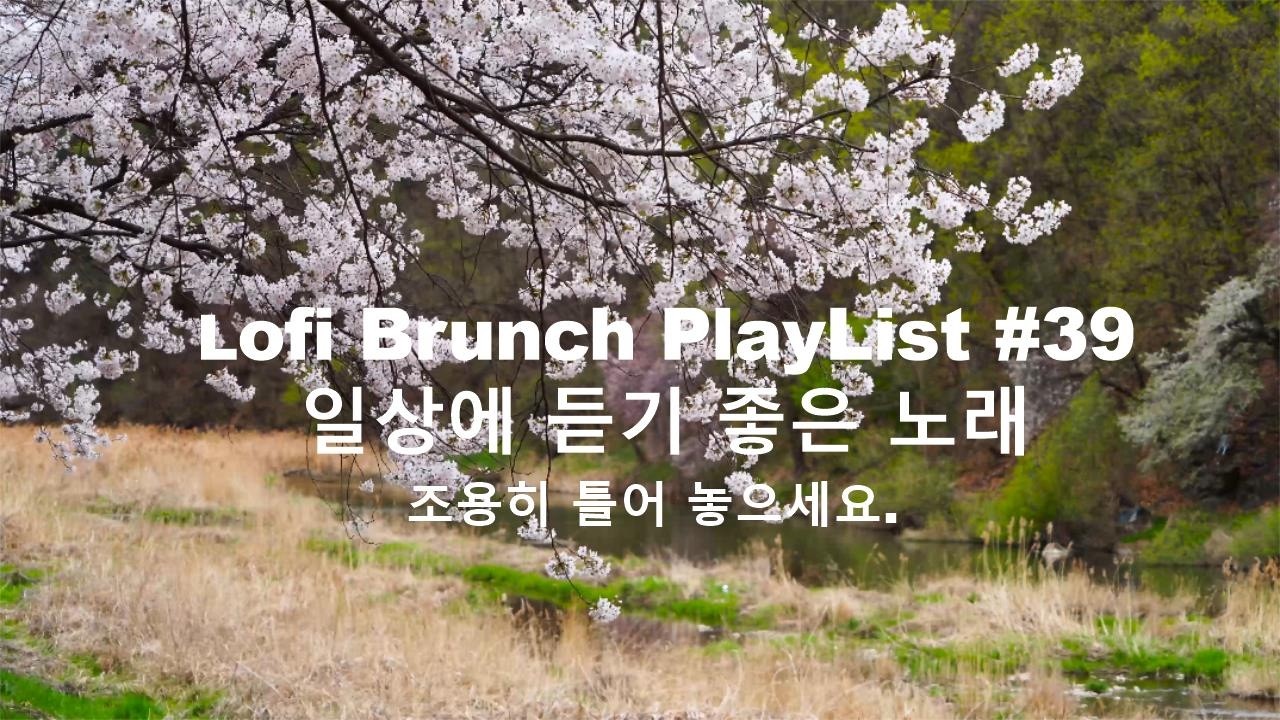 [playlist] 봄 바람에 흔들리는 벚꽃을 바라보며 l 잔잔한 감성팝 카페음악 #39 l Lofi-pop, Ballad, Jazz l 일할때, 쉴때 듣기좋은 음악